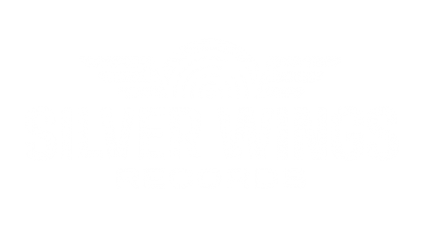 Silver Wings Records